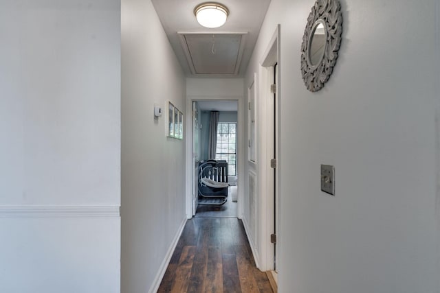 904 Fallview Trl, Nashville, TN 37211 - photo 22