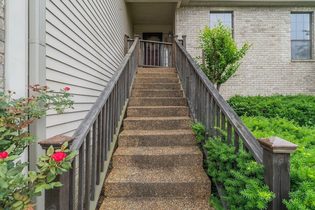 904 Fallview Trl, Nashville, TN 37211 - photo 3