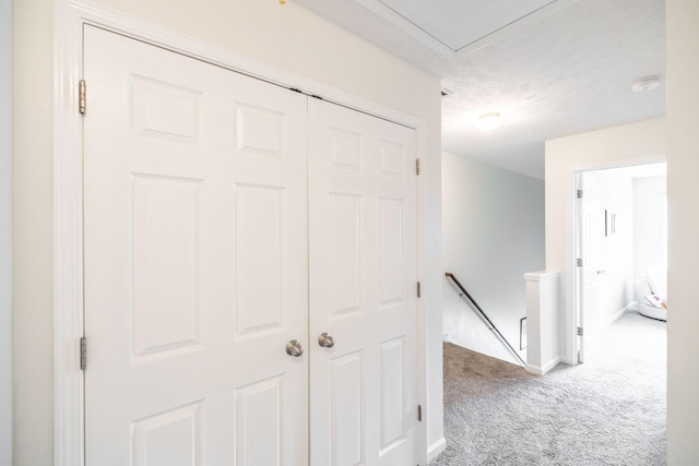 1130 Thorncrest Rd, Nashville, TN 37211 - photo 26