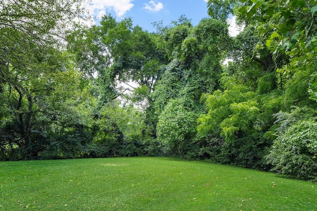 2334 Revere Pl, Nashville, TN 37214 - photo 45