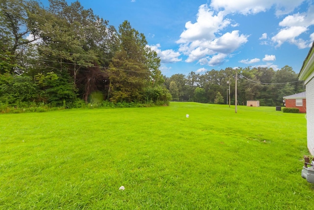 274 Spring Hill Rd, Stanton, TN 38069 - view of grassy yard