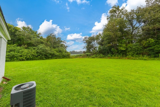 274 Spring Hill Rd, Stanton, TN 38069 - view of green lawn
