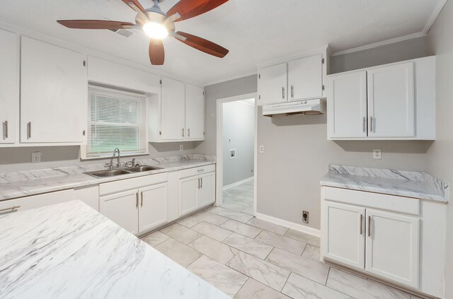 274 Spring Hill Rd, Stanton, TN 38069 - kitchen featuring under cabinet range hood, crown molding, ceiling fan, and white cabinets