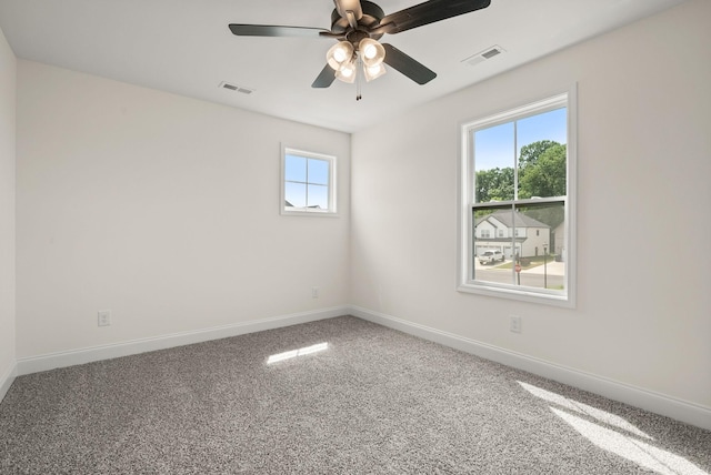 193 Bluebell Dr, Clarksville, TN 37043 - photo 40