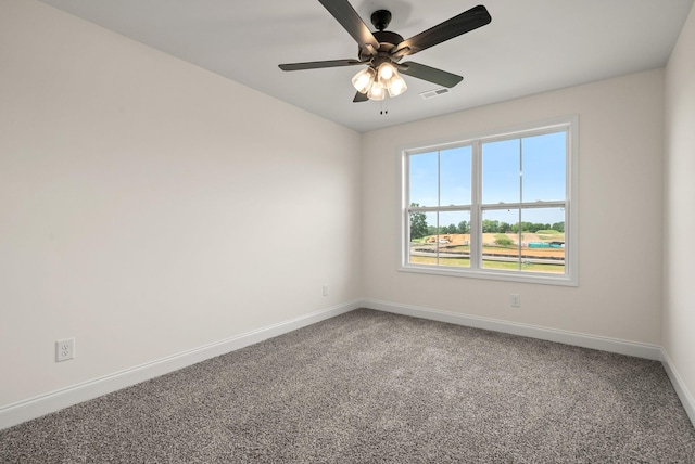 193 Bluebell Dr, Clarksville, TN 37043 - photo 38