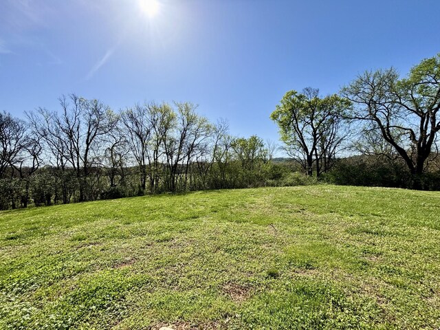 2525 Queen Bee Dr, Columbia, TN 38401 - photo 20