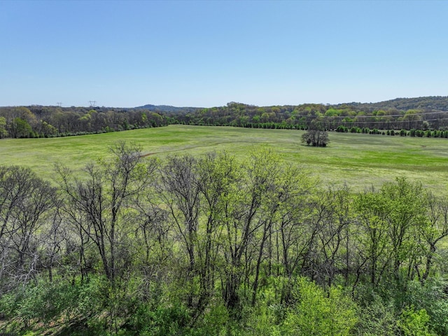 2525 Queen Bee Dr, Columbia, TN 38401 - photo 23