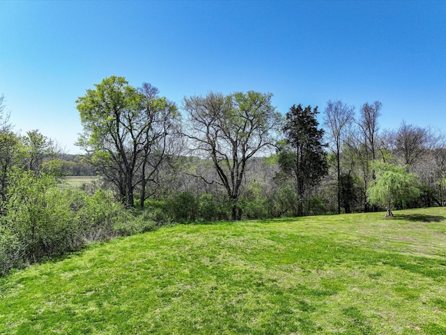 2525 Queen Bee Dr, Columbia, TN 38401 - photo 21