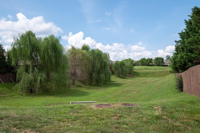 4154 Alva Ln, Nolensville, TN 37135 - photo 25