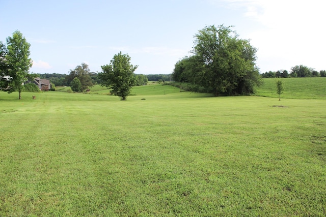 2210 Indian Mound Rd, Woodlawn, TN 37191 - view of green lawn