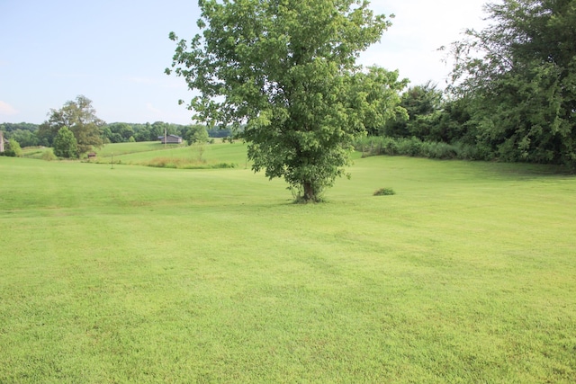 2210 Indian Mound Rd, Woodlawn, TN 37191 - view of community featuring a yard