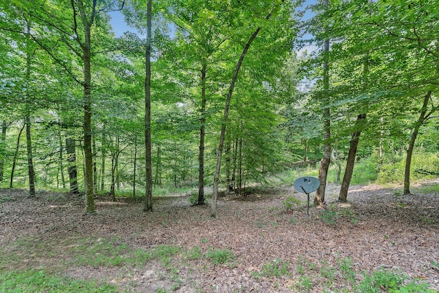 9073 Mcminnville Hwy, Quebeck, TN 38579 - photo 35