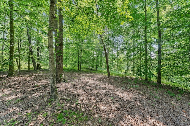 9073 Mcminnville Hwy, Quebeck, TN 38579 - photo 36