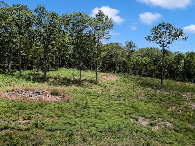0 S Windrow Rd, Rockvale, TN 37153 - photo 2