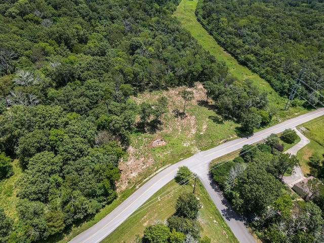 0 S Windrow Rd, Rockvale, TN 37153 - photo 5