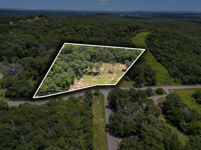 0 S Windrow Rd, Rockvale, TN 37153 - photo 1