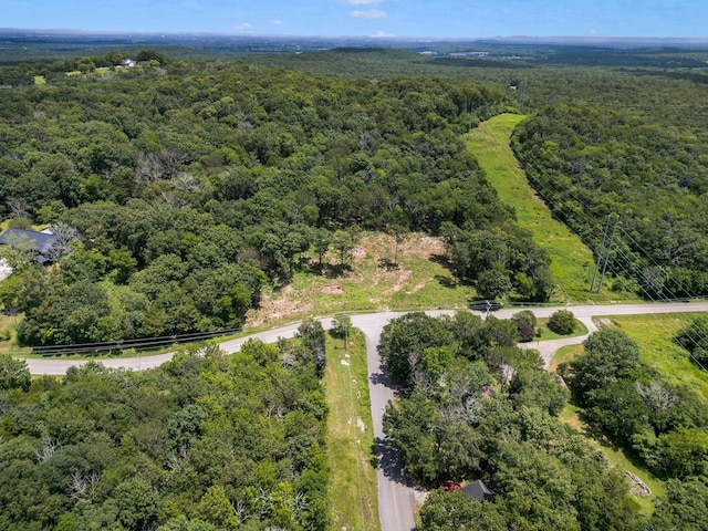 0 S Windrow Rd, Rockvale, TN 37153 - photo 13