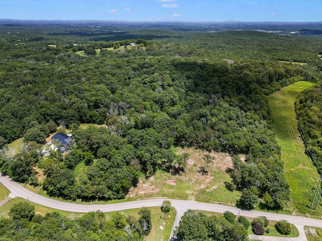 0 S Windrow Rd, Rockvale, TN 37153 - photo 12