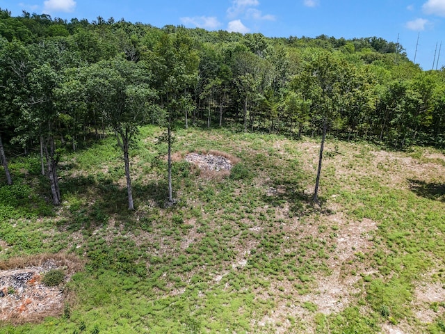 0 S Windrow Rd, Rockvale, TN 37153 - photo 3