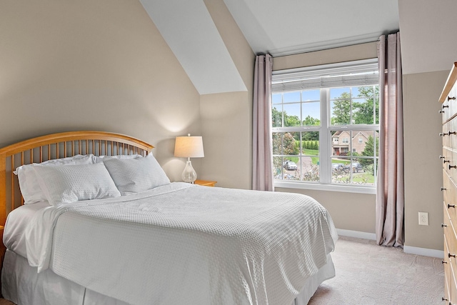 1011 Glessner Dr, Spring Hill, TN 37174 - bedroom with light carpet and lofted ceiling