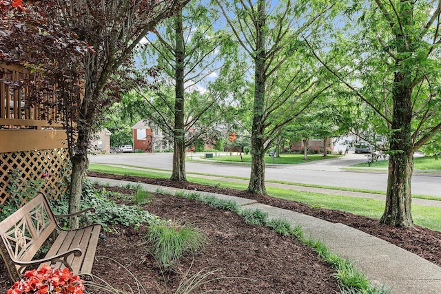 1011 Glessner Dr, Spring Hill, TN 37174 - view of yard