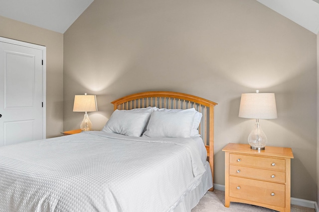 1011 Glessner Dr, Spring Hill, TN 37174 - bedroom with lofted ceiling and light carpet