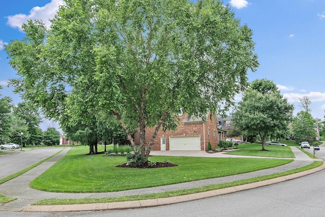 1011 Glessner Dr, Spring Hill, TN 37174 - view of property hidden behind natural elements with brick siding, driveway, a garage, and a front yard
