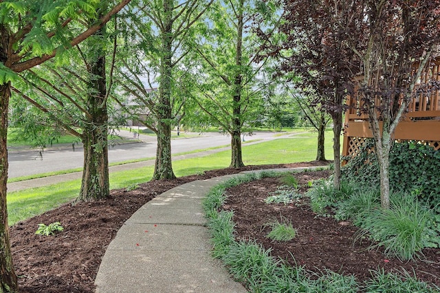 1011 Glessner Dr, Spring Hill, TN 37174 - view of grassy yard