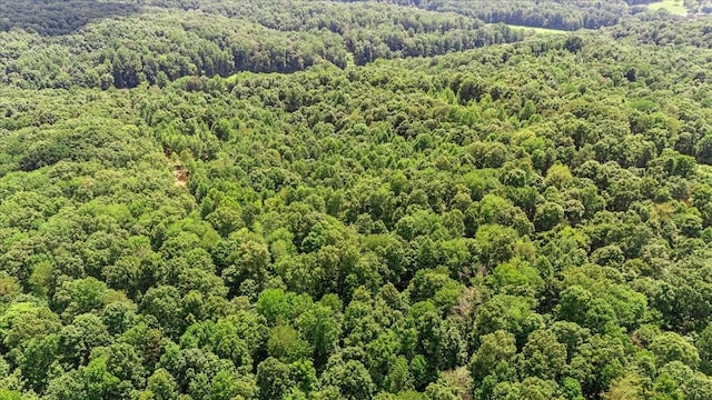 0 Upper Creek Rd, Vanleer, TN 37181