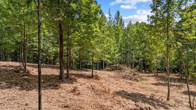 0 Upper Creek Rd, Vanleer, TN 37181