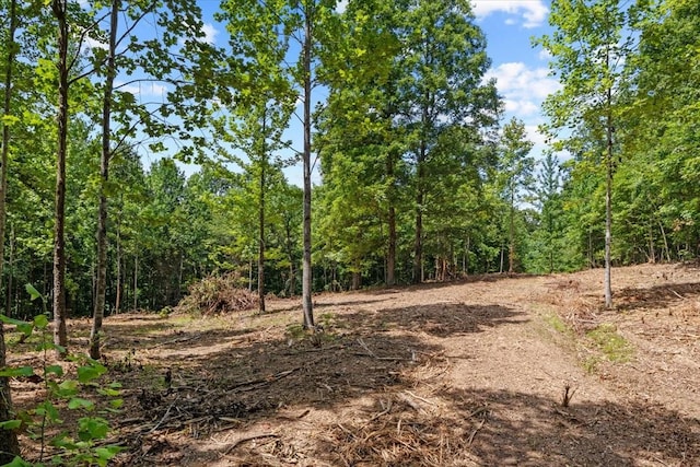 0 Upper Creek Rd, Vanleer, TN 37181