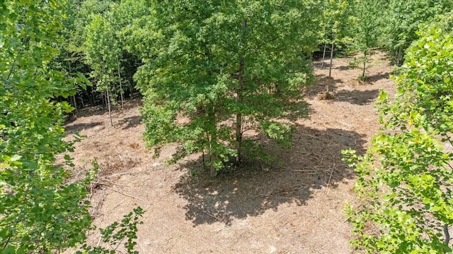0 Upper Creek Rd, Vanleer, TN 37181