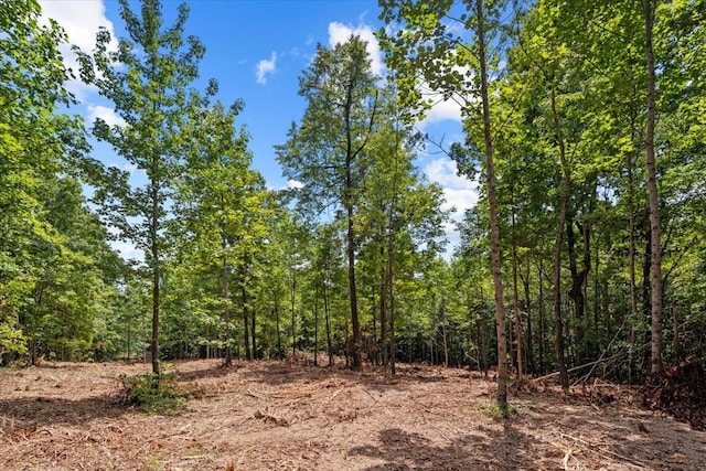 0 Upper Creek Rd, Vanleer, TN 37181