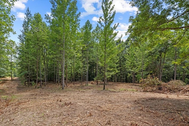 0 Upper Creek Rd, Vanleer, TN 37181