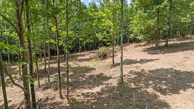 0 Upper Creek Rd, Vanleer, TN 37181