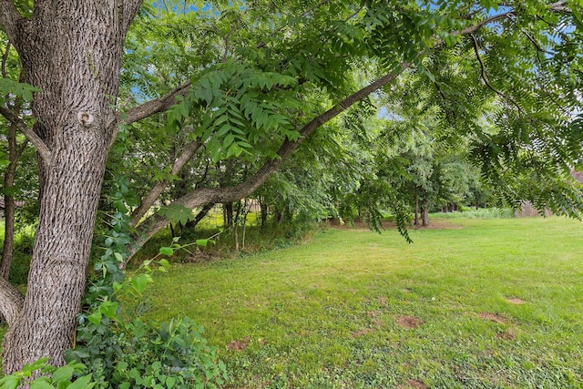 1030 Gannett Rd, Hendersonville, TN 37075 - photo 50