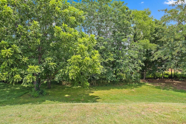 1030 Gannett Rd, Hendersonville, TN 37075 - photo 46
