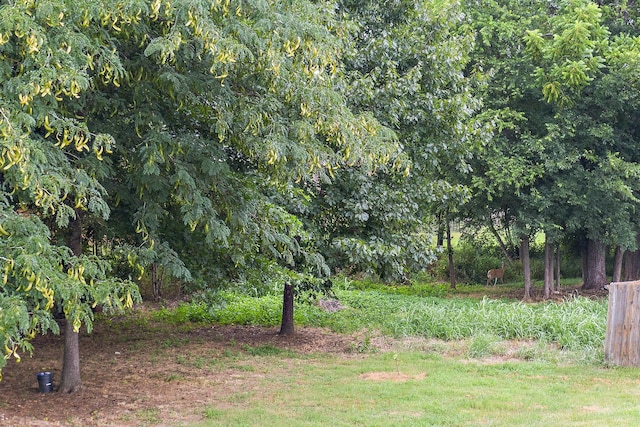 1030 Gannett Rd, Hendersonville, TN 37075 - photo 47