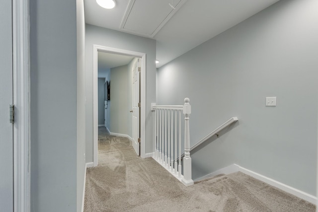203 Longfellow Ln, Smyrna, TN 37167 - photo 16