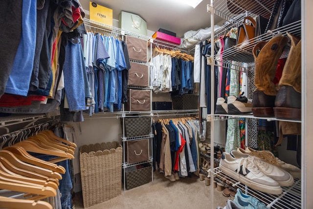 7767 Lynnle Way, Hixson, TN 37343 - spacious closet featuring carpet floors