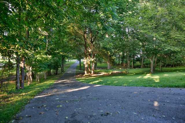 125 Crosswinds Dr, Mount Juliet, TN 37122 - photo 4
