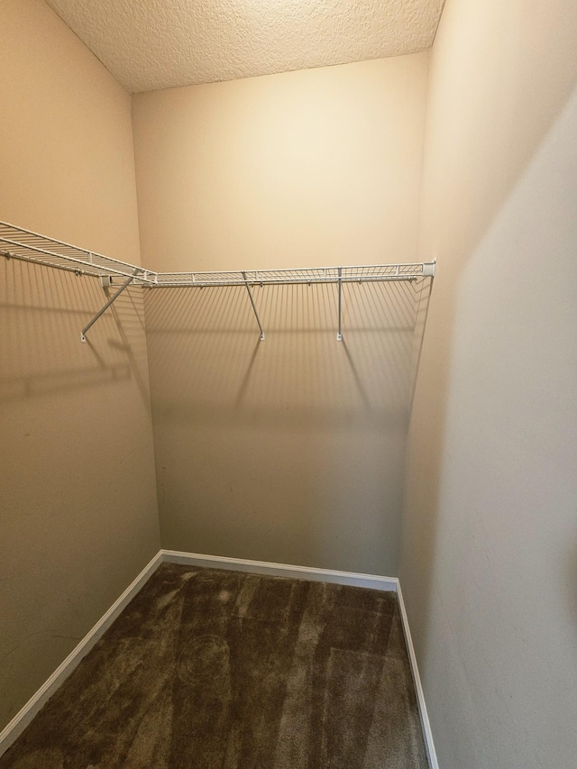 133 Alexander Blvd, Clarksville, TN 37040 - photo 24