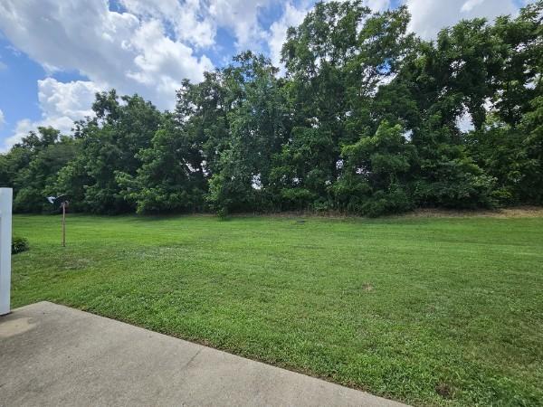 133 Alexander Blvd, Clarksville, TN 37040 - photo 36