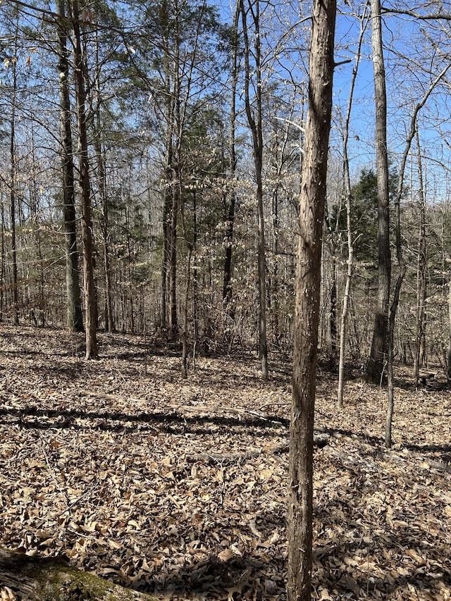 820 Lucas Rd, Dickson, TN 37055 - photo 1