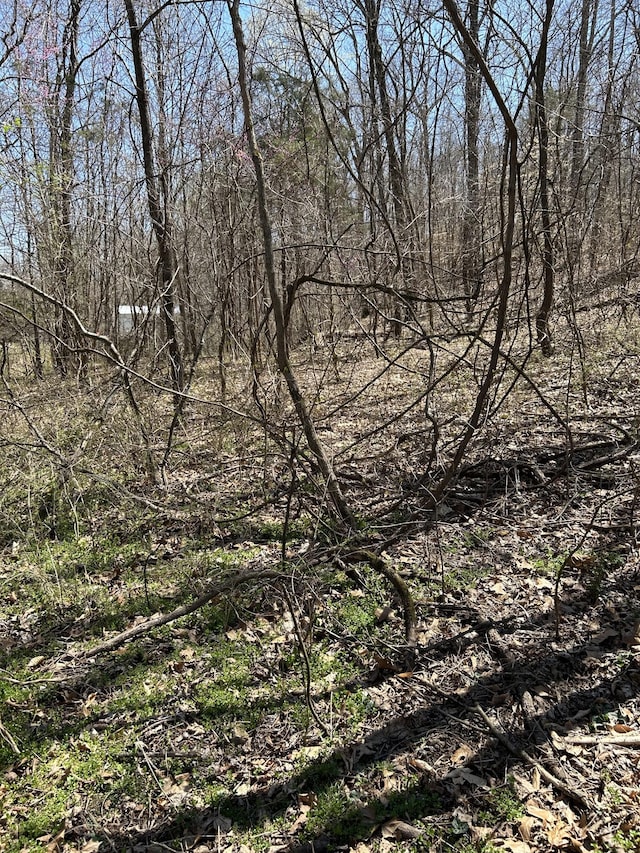 820 Lucas Rd, Dickson, TN 37055 - photo 6