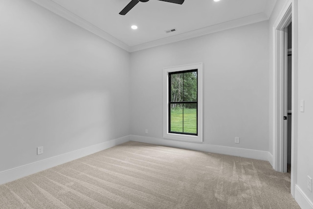 330 Canna Dr, Lascassas, TN 37085 - photo 37