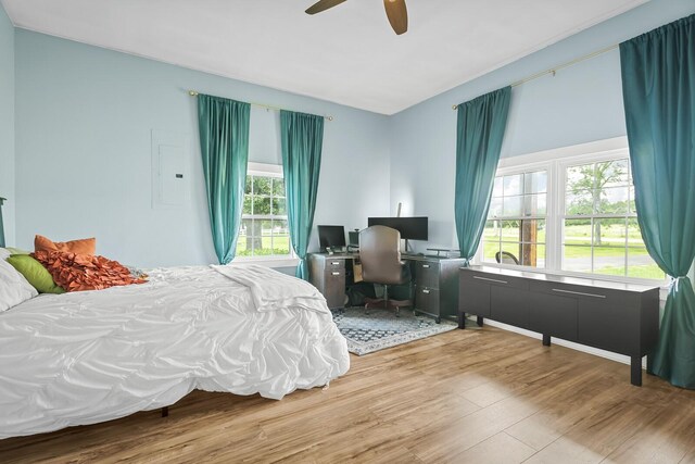 1786 Rocky Glade Rd, Eagleville, TN 37060 - bedroom featuring wood finished floors, electric panel, an office area, and ceiling fan