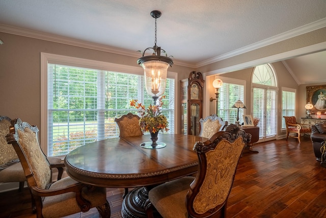 130 Fairway Cir, Loretto, TN 38469 - dining room with dark wood-style floors, plenty of natural light, ornamental molding, and lofted ceiling