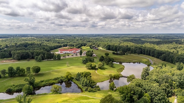 130 Fairway Cir, Loretto, TN 38469 - drone / aerial view of a large body of water and a heavily wooded area