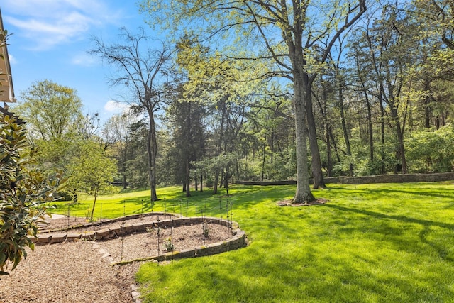 549 Turtle Creek Dr, Brentwood, TN 37027 - photo 64